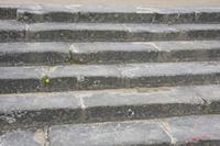 Cjp_2010_03_30_123237 (1).jpg